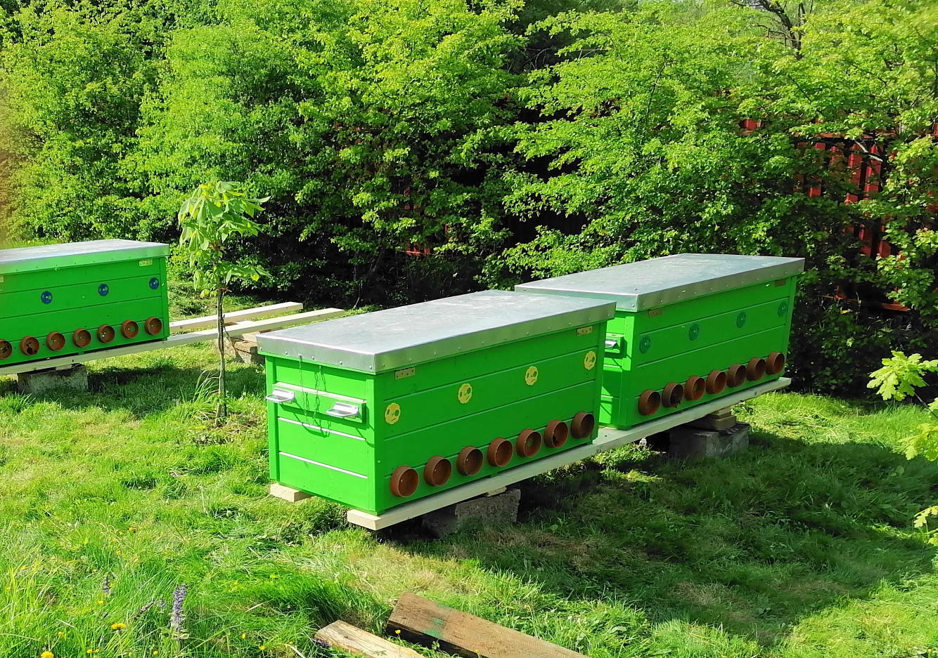 Пасека под ключ на ульях-лежаках Якимова ЭКО в Московской обл. Улей-лежак Якимова Владимирский ЭКО