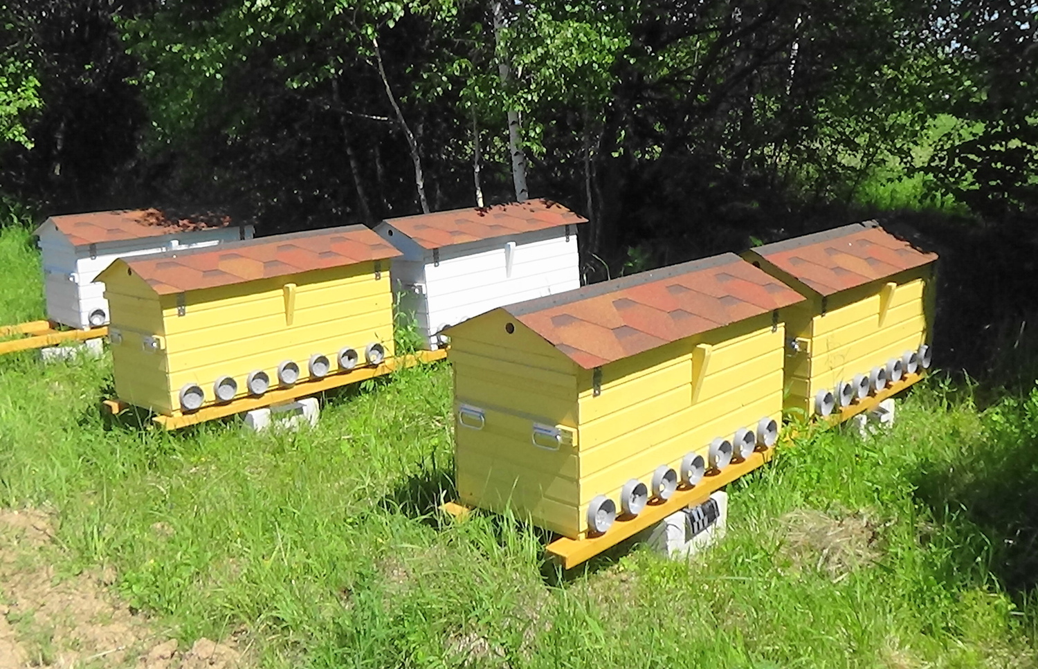 Пасека под ключ из пяти ульев-лежаков в Калужской области Улей-лежак Якимова на пасеке в Калужской области
